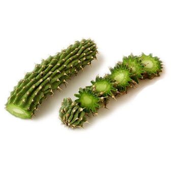 Hoodia Gordonia - композиция Reduslim