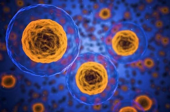 Салмақ жоғалту процесі қалай жүреді